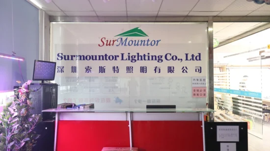 LED Aluminum Profile Customized for LED Lighting Strip Outdoor Profile Super